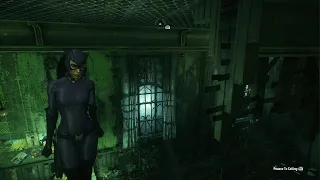 CATWOMEN JIGGLE PHYSICS: BATMAN ARKHAM KNIGHT