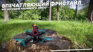 Впечатляющий фристайл на опушке леса. FPV Freestyle