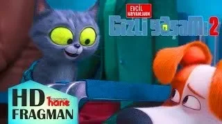 Да, я тоже не псих..ТАЙНАЯ ЖИЗНЬ ДОМАШНИХ ЖИВОТНЫХ 2 - The Secret Life of Pets 2