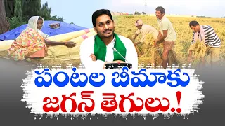 పంట బీమా పేరుతో రైతన్నలకు జగన్‌ దగా | Free Crop Insurance | Jagan Cheats Farmers