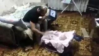 Забавное видео про животных. Угарное видео.