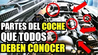 PARTES DEL MOTOR DE UN COCHE | Aprende a revisar el motor de tu auto | Cuánto Gana