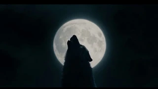 Werewolf Transformation 38