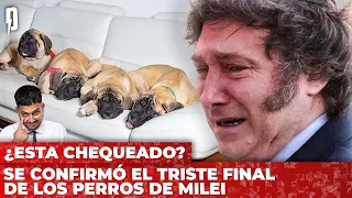 Los rumores eran ciertos: se confirmó el triste final de los perros de Milei