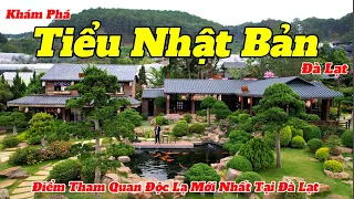 Du Lịch Đà Lạt Mới Nhất 2024 | Khám Phá Tiểu Nhật Bản Giữa Lòng Đà Lạt | Hướng Dẫn Chi Tiết Nhất