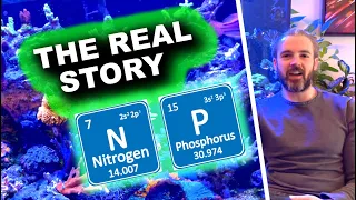 Nitrate and Phosphate - The Real Story