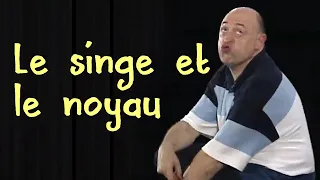 Le singe et le noyau