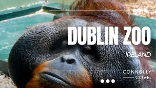 Dublin Zoo | Dublin | Ireland | Things to Do in Dublin | Dublin Attractions | Dublin City