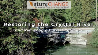 Restoring the Crystal River - and Removing a Culvert Calamity