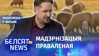 Чалы: Імпартазамяшчэнне села ў лужыну | Чалый: Импортозамещение село в лужу