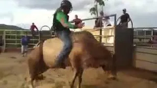 Vanderlei batista vs touro jeito carinhoso cia de rodeio 2S