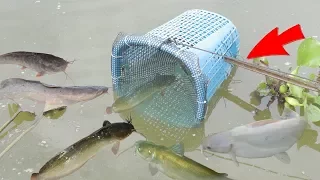 We Survival - Making Fish Trap Using Plastic Basket