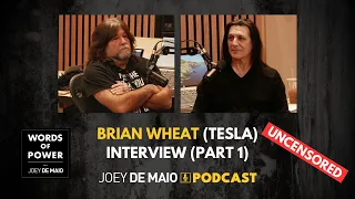 🎸 Shocking: Brian Wheat (Tesla): Why Massive Success Can Ruin Your Career And How I Prevailed