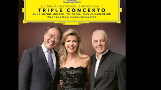 Beethoven : Triple Concerto in C Major, Op.56-1.Allegro (by Anne-Sophie Mutter, Yo-Yo Ma, Barenboim)