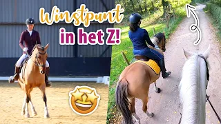 We rijden WINST in het Z! Nooit meer dressuur! | felinehoi VLOG #480