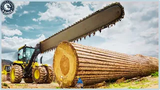168 Amazing Fastest Big Wood Sawmill Machines Working At Another Level