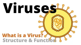 Structure and Function of a Virus (Virology Basics)