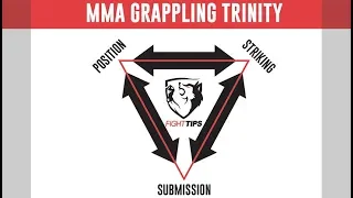 Ground & Pound: 5 Dominant Positions [MMA Grappling Trinity]