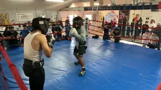 Brawley youth sparring session