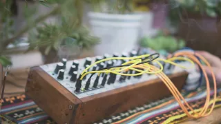 Plantarium, Improvised sound meditation on Modular Synth and Hologram Electronics Microcosm