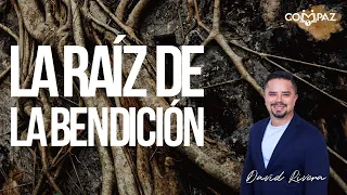 Encendiendo La Gratitud | Pastor David Rivera