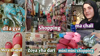 Shopping And Grocery #ayeshanafeesvlogs #villagelife #shorts #viral  #shopping #grocery