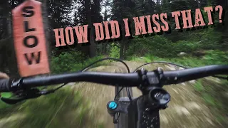 I went too fast at the Kicking Horse Bike Park...  Specialized Stumpjumper