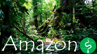 Yoi Amazon Tours / Amazon Lodge / Colombia Leticia