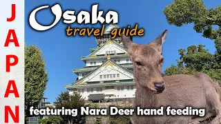 Things to do in Osaka | Nara Bowing Deers  MUST SEE! - Travel Guide