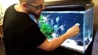 HOW TO CLEAN AN AQUARIUM THE RIGHT WAY