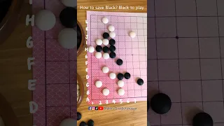 Can you save Black? #weiqi #gogame #baduk #바둑 #围棋 #boardgame #囲碁　#alphago #strategy #手筋 #tesuji