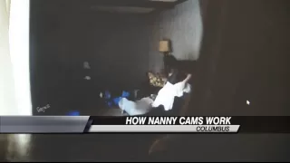 Babysitter Arrest Brings Attention to "Nannycams"