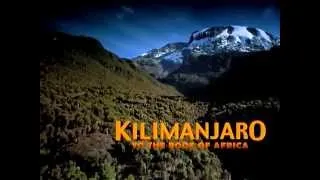 The Kilimanjaro Climb - August 2011 - 5895m