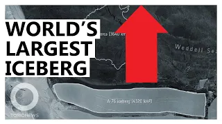 World’s Largest Iceberg Breaks Off Antarctica