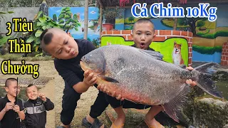 Mao Ca Đi Vắng - Mao Đệ Và Anh Em Ở Nhà Bắt Tờ Rộm  Cá Chim  Làm Ẩm Thực Cực Ngon