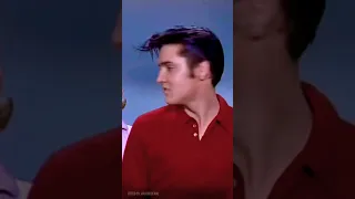 Elvis -  I do whatever you say 😂