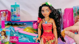 Unboxing for Introducing MOANA'S FAMILY!! 🌊🌸