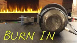 BURN-IN.. Should You, and Does it Work? [Z Review]