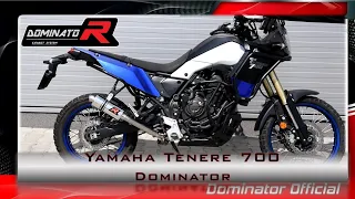 Yamaha Tenere 700 💥 Dyno & Flames 🔥 Pure Sound 🔊  Dominator 🎧HQ Sound 🇵🇱⚡Exhaust Compilations