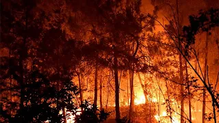 Des feux de forêt détruisent des centaines d'hectares dans le sud de la France