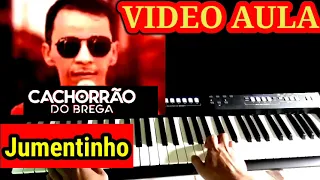 Video Aula Jumentinho Cachorrão do Brega G i Cantor no teclado