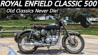 Timeless Royal Enfield Classic 500 Military - Wahoo!