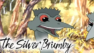 The Silver Brumby | To Catch a Brumby 🐎| HD FULL EPISODES