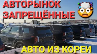 АВТОРЫНОК ДУШАТ С.Y.КИ, НОВЫЕ ЗАПРЕТЫ ИЗ КОРЕИ, АВТО ЗАПРЕЩЕНЫ