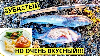 ВКУСНОТИЩА! ЗУБАСТЫЙ ТЕРПУГ И ОКУНЬ НА ТИХОМ ОКЕАНЕ В США.