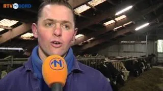 450 Noordelijke boeren laten 5 miljoen liter melk weglopen - RTV Noord