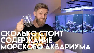 сколько стоит содержание морского аквариума?