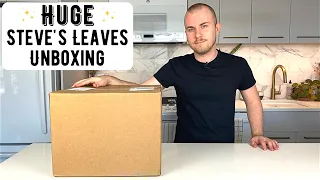 HUGE Steve's Leaves Houseplant Unboxing | 2021