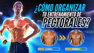 CÓMO ORGANIZAR TU ENTRENAMIENTO DE PECTORALES / GUÍA COMPLETA