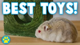 3 Toys Every Hamster NEEDS!